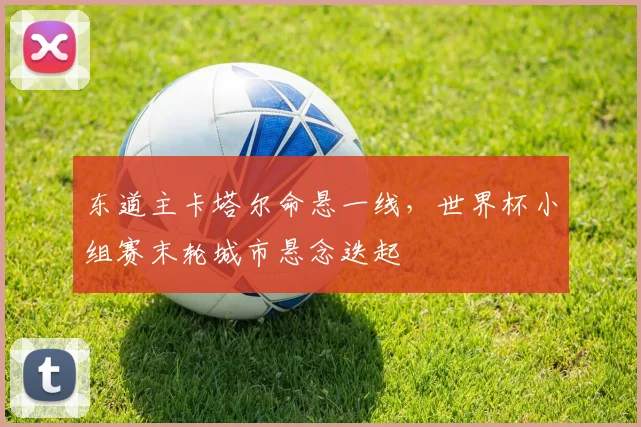 东道主卡塔尔命悬一线，世界杯小组赛末轮城市悬念迭起