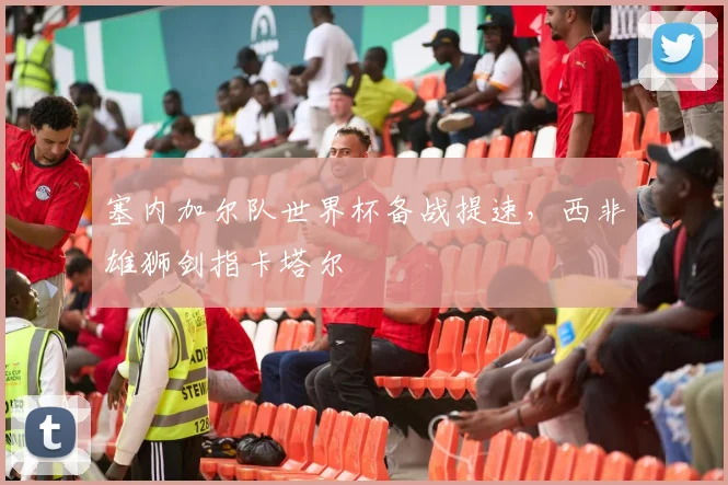 塞内加尔队世界杯备战提速，西非雄狮剑指卡塔尔