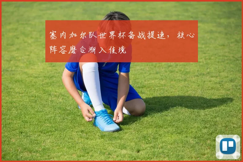 塞内加尔队世界杯备战提速，核心阵容磨合渐入佳境