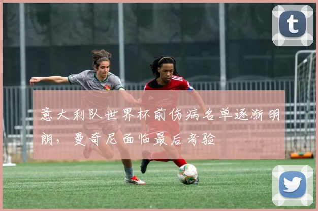 意大利队世界杯前伤病名单逐渐明朗，曼奇尼面临最后考验