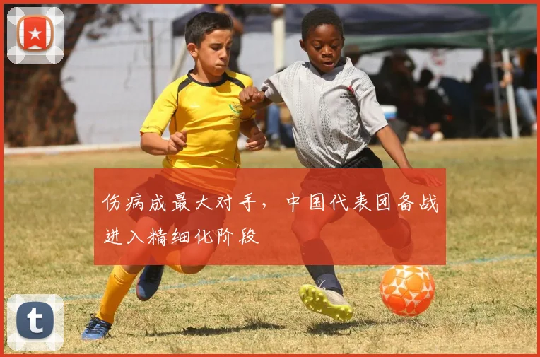 伤病成最大对手，中国代表团备战进入精细化阶段